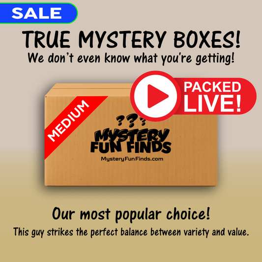 LIVE-PACKED Mystery Fun Finds Box - MEDIUM