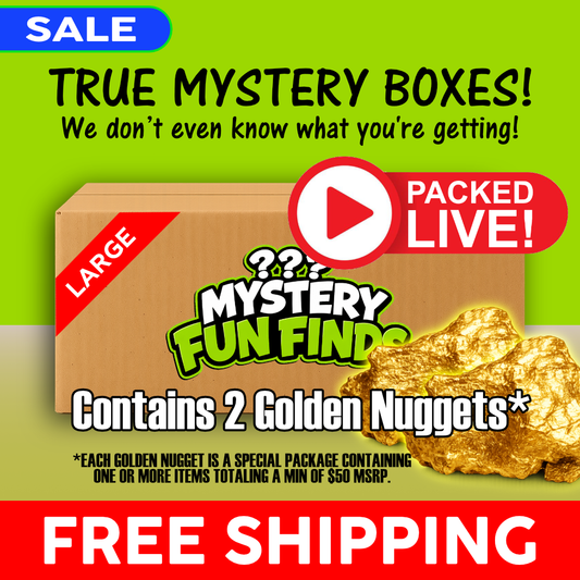 LIVE-PACKED Mystery Fun Finds Box - LARGE